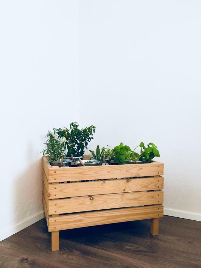 Urban Herbs Lublana